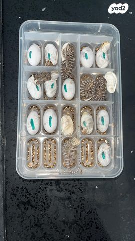 תמונת מודעה - חיות מחמד