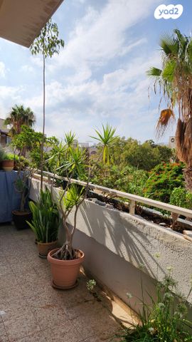 אריה בן אליעזר 102