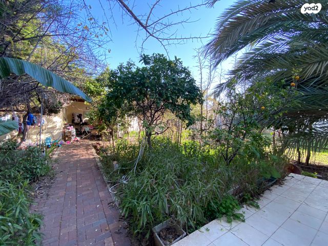 בית פרטי/ קוטג', זאב וידר 3, סלע, רחובות