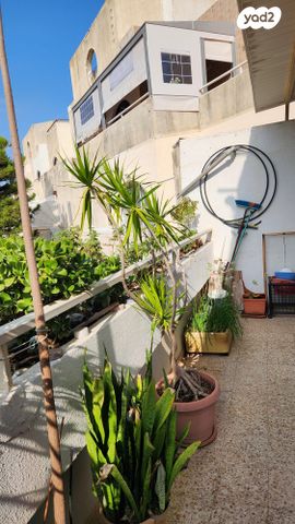 דירה, אריה בן אליעזר 102, ברנע, אשקלון