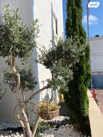 גג/ פנטהאוז, אילת 64, ג'סי כהן, חולון