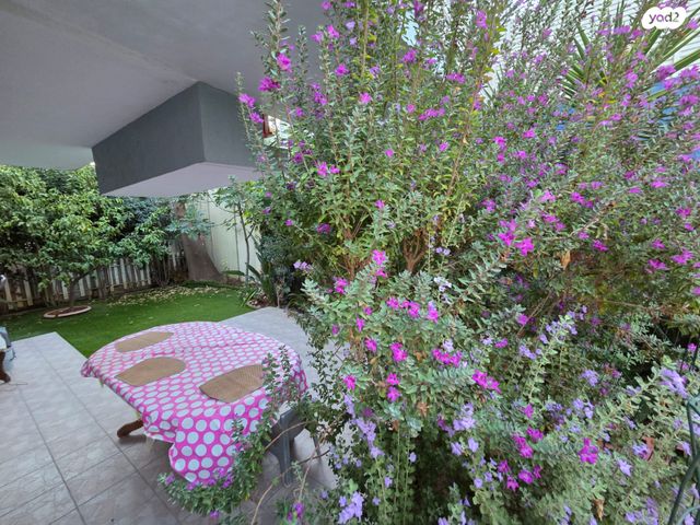 דירת גן, תבור, כרמיאל