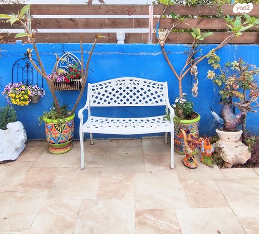 דו משפחתי, תמר, צופים, צופים