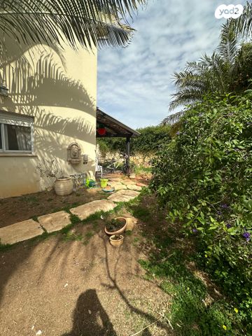 דו משפחתי, צוותא ב, אלפי מנשה