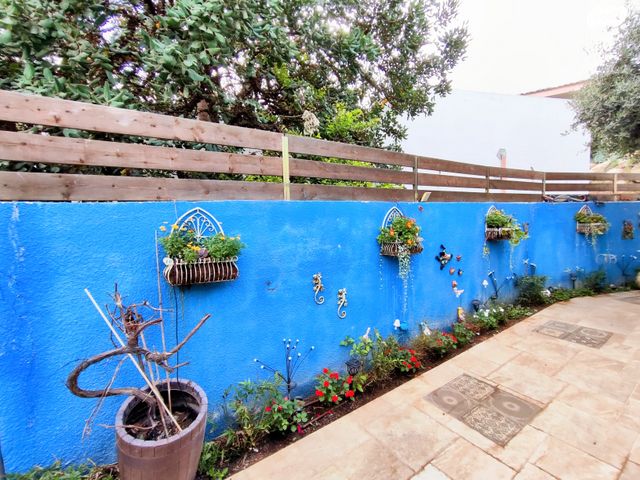 דו משפחתי, תמר, צופים, צופים