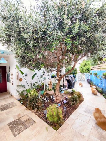 דו משפחתי, תמר, צופים, צופים