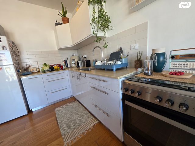 זלמן שניאור 11