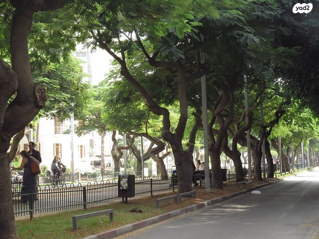שדרות רוטשילד 