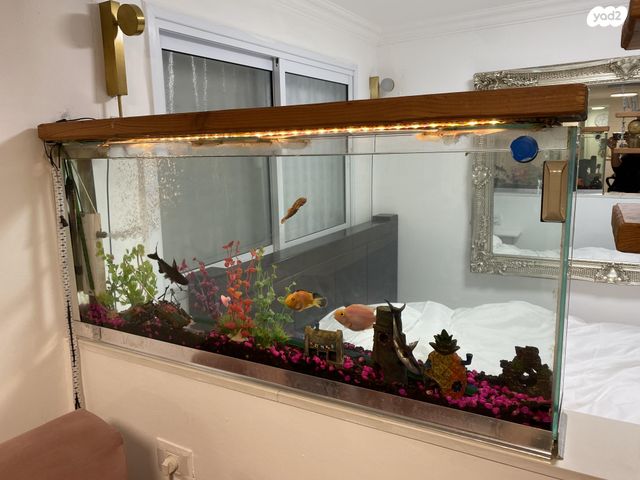 תמונת מודעה - חיות מחמד