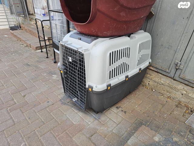 תמונת מודעה - חיות מחמד