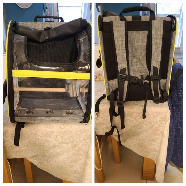 תמונת מודעה - חיות מחמד