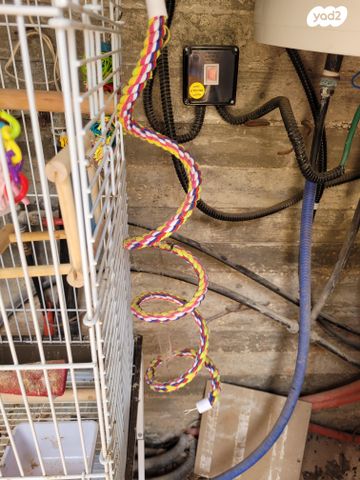 אביזרים | כלוב האכלת יד