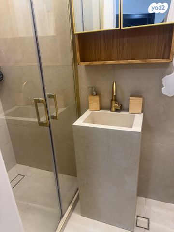 דירה, חנה סנש 19, השופטים צפון, רמלה