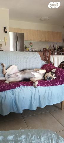 דירה, הצדף 1, אכזיב, נהריה