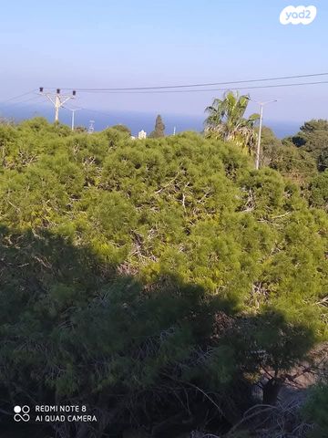 דירה, טשרניחובסקי 55, רמת שאול, חיפה