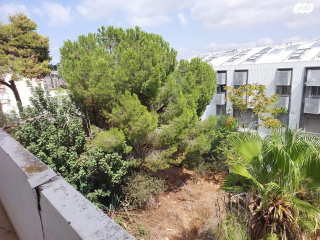 דירה, אד"ם הכהן 7, זיו, חיפה