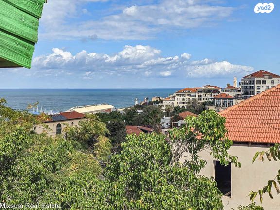 שערי ניקנור 