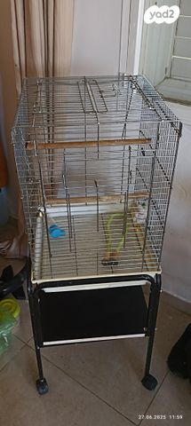 תמונת מודעה - חיות מחמד