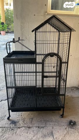 תמונת מודעה - חיות מחמד