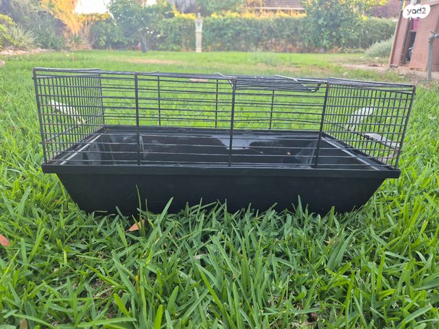 תמונת מודעה - חיות מחמד