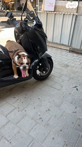 מודעת רכב ימאהה X-MAX 300