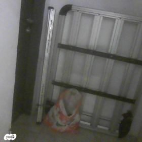 feedItemObj.data.row_1