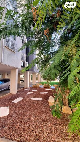 אברהם אבו שדיד 22