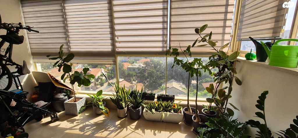 דירה, חובבי ציון 11, שכונת האוצר, חדרה