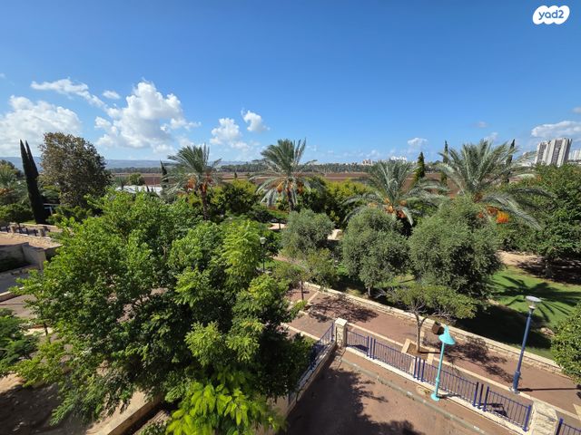 דירה, יקינטון, גבעת הרקפות, קרית ביאליק