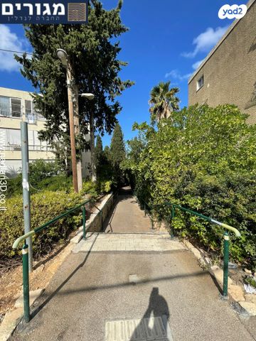 דירה, אגמון, חיפה