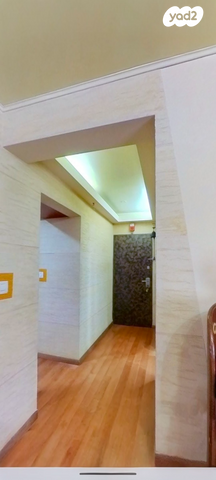 שלמה המלך 24