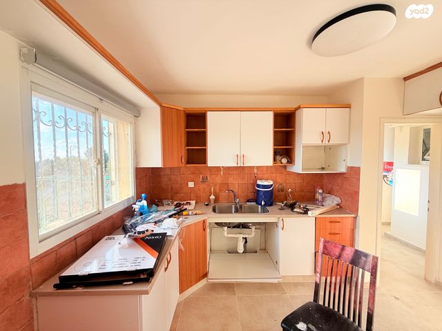 קרית אריה / שיינפלד