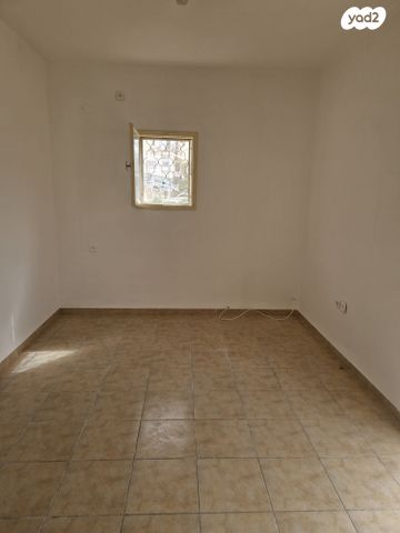 דירת גן, הרב זרביב, רמב"ם, טירת כרמל