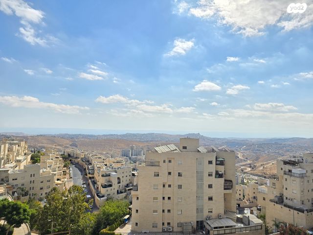 שאול אביגור 