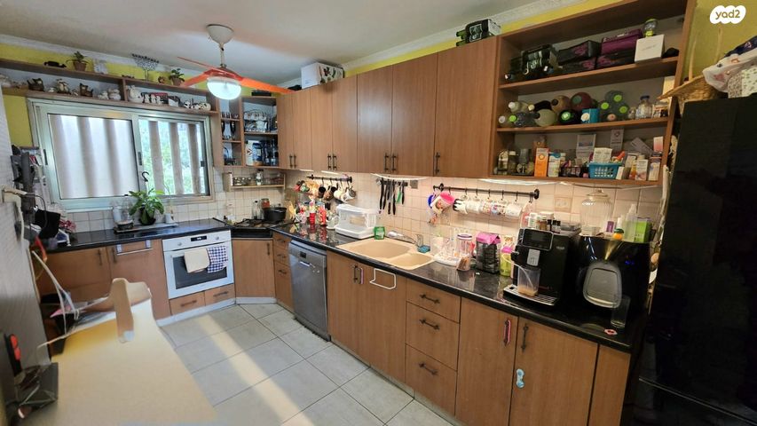 דירה, אשכולות, כרמיאל