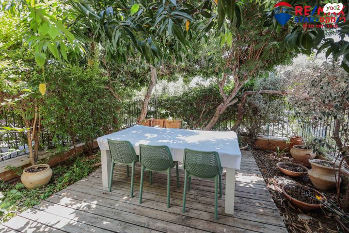 שמואל הנגיד 13