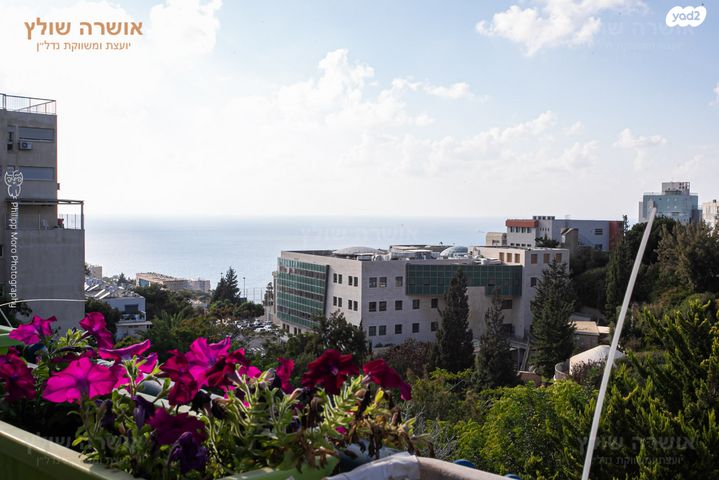 סטפן וייז 25