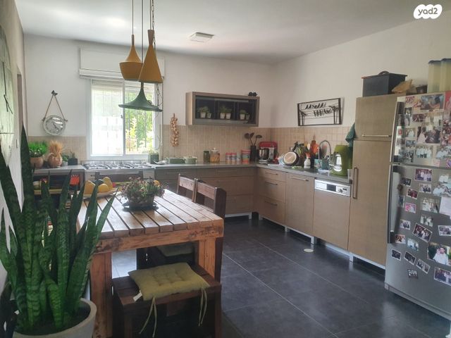 דירה, העירית, צמח השדה, מעלה אדומים