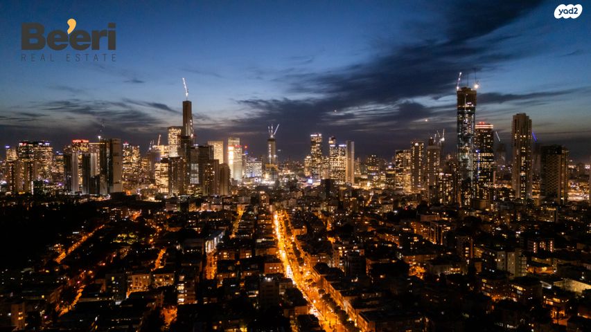 גג/ פנטהאוז, שיינקין 48, שינקין, גבעתיים