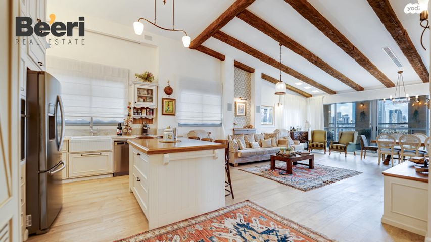 גג/ פנטהאוז, שיינקין 48, שינקין, גבעתיים