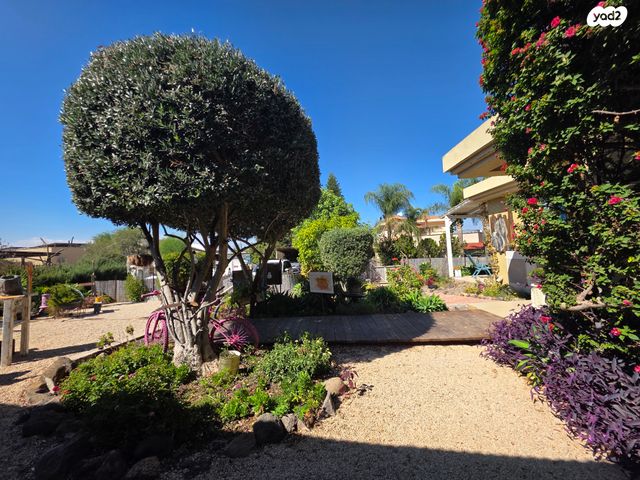 בית פרטי/ קוטג'