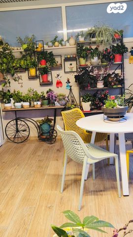 גג/ פנטהאוז, עכו