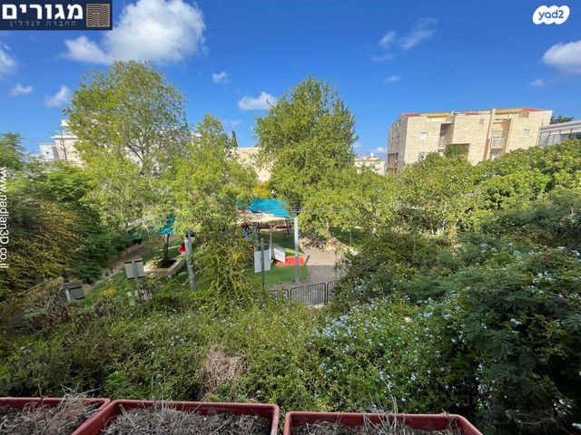 דירה, אגמון, חיפה