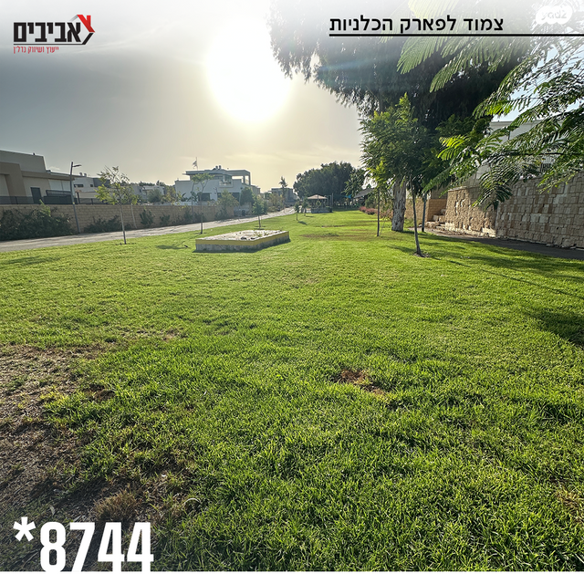 דירה, שדרות