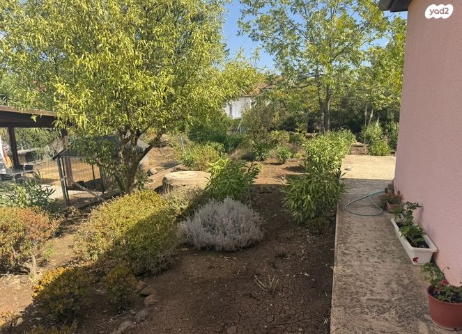 דו משפחתי, בתרא, קצרין