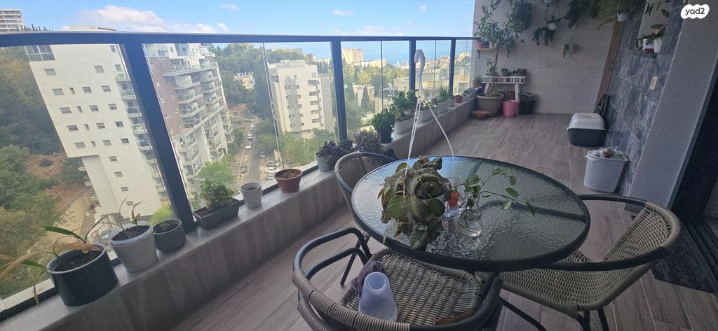 דירה, חביבה רייק, חיפה