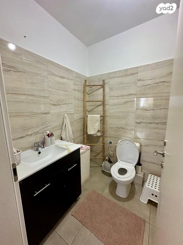 דירה, השחף, החותרים, טירת כרמל