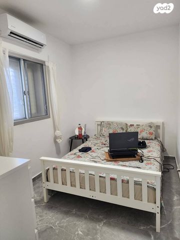 דירה, המתמיד, בן דור, נשר