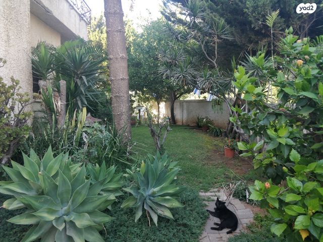 בית פרטי/ קוטג', הרצליה פיתוח, הרצליה