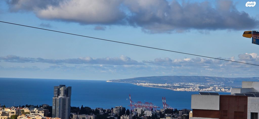 דירה, חביבה רייק, חיפה